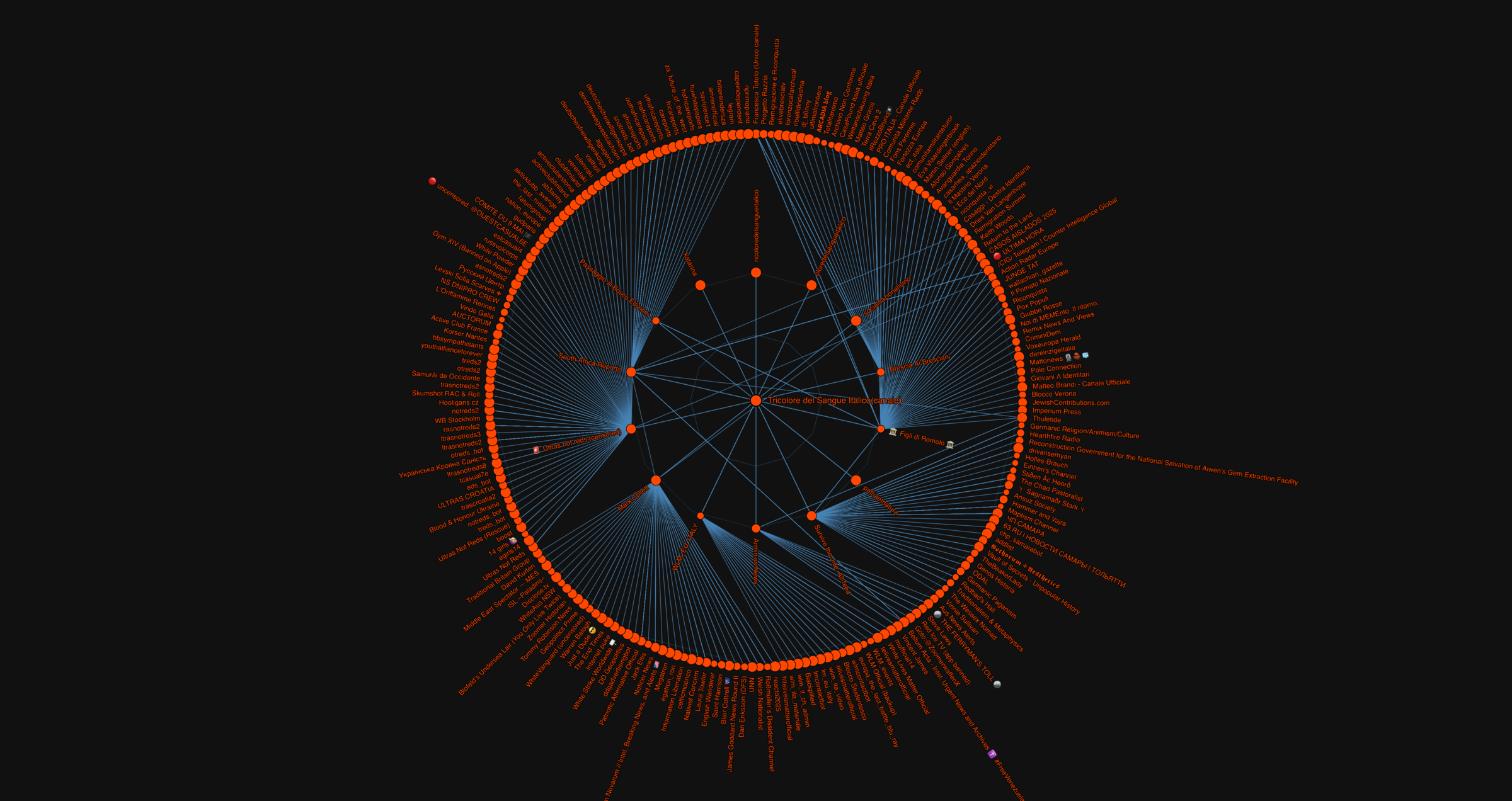 tricoloredelsangueitalico network